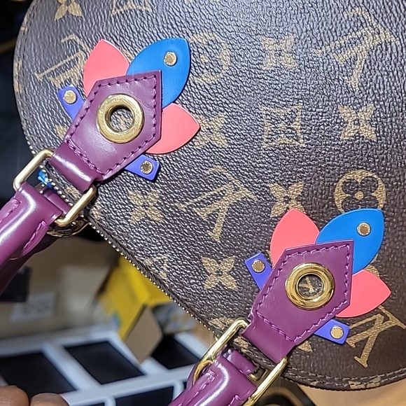 Louis Vuitton Limited edition Alma BB 2way bag - Picture 9 of 15